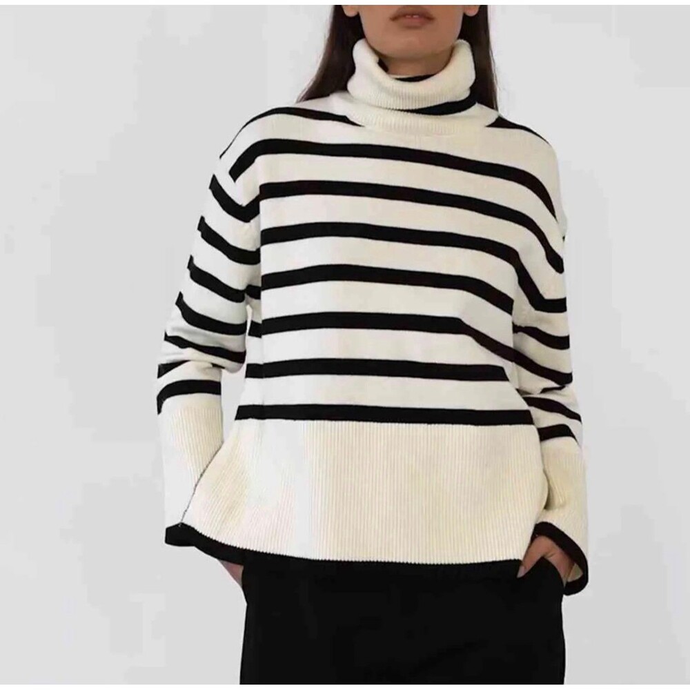 Striped knit turtleneck sweater